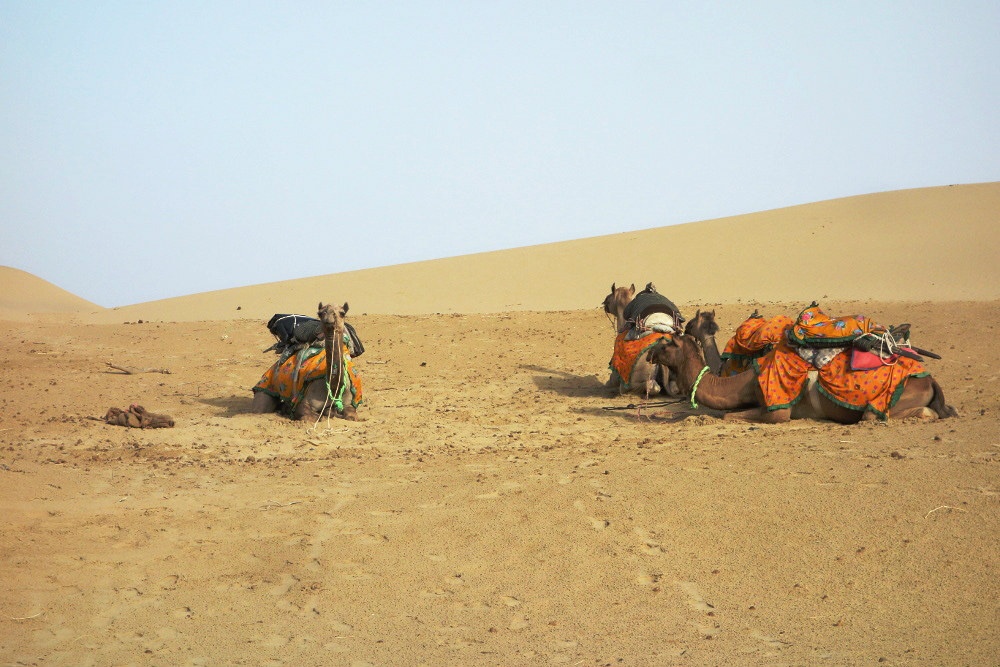 thành phố sắc màu ảnh 5 thanh pho sac mau anh 5