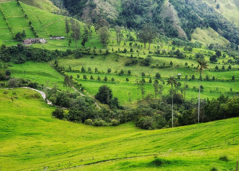 du lich Colombia anh 4