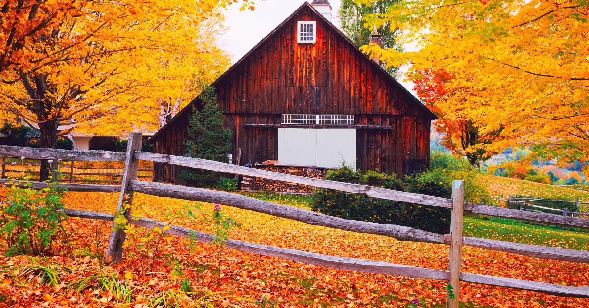 den My song nhan 10.000 USD anh 2