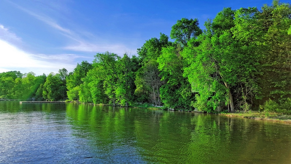 den My song nhan 10.000 USD anh 4