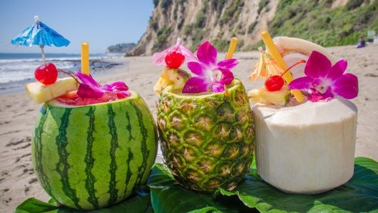 cái chết ống hút nhựa ảnh 7 cai chet ong hut nhua anh 7