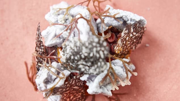 50 nha hang ngon nhat the gioi anh 7