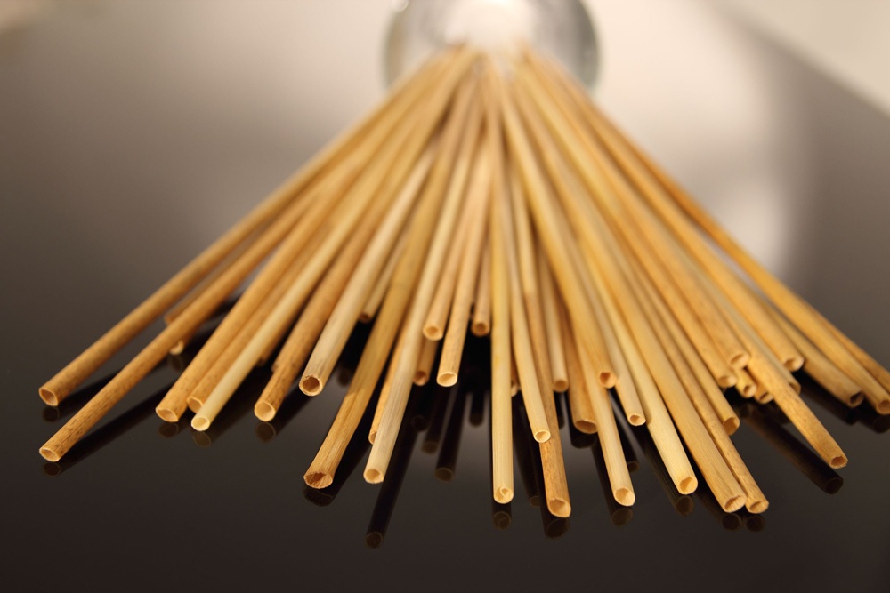 cái chết ống hút nhựa ảnh 8 cai chet ong hut nhua anh 8