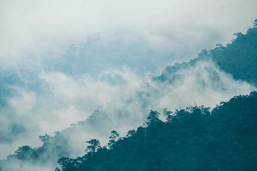 du lịch Huế ảnh 19 du lich Hue anh 19