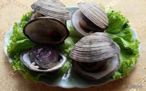 ăn gì ở Quảng Ninh ảnh 2 an gi o Quang Ninh anh 2