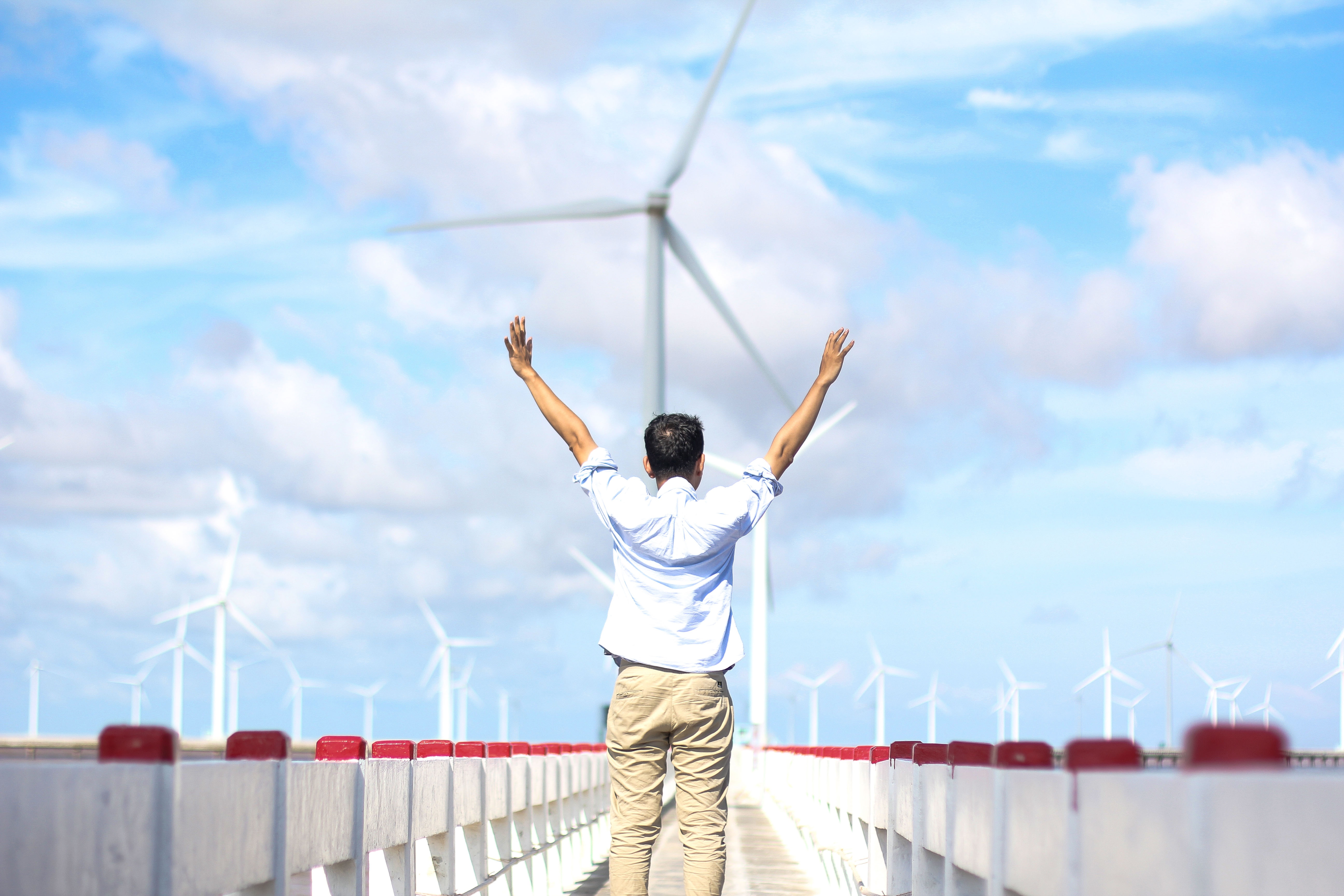 Chieu he tren canh dong dien gio Bac Lieu - diem den de ‘song ao’ hinh anh