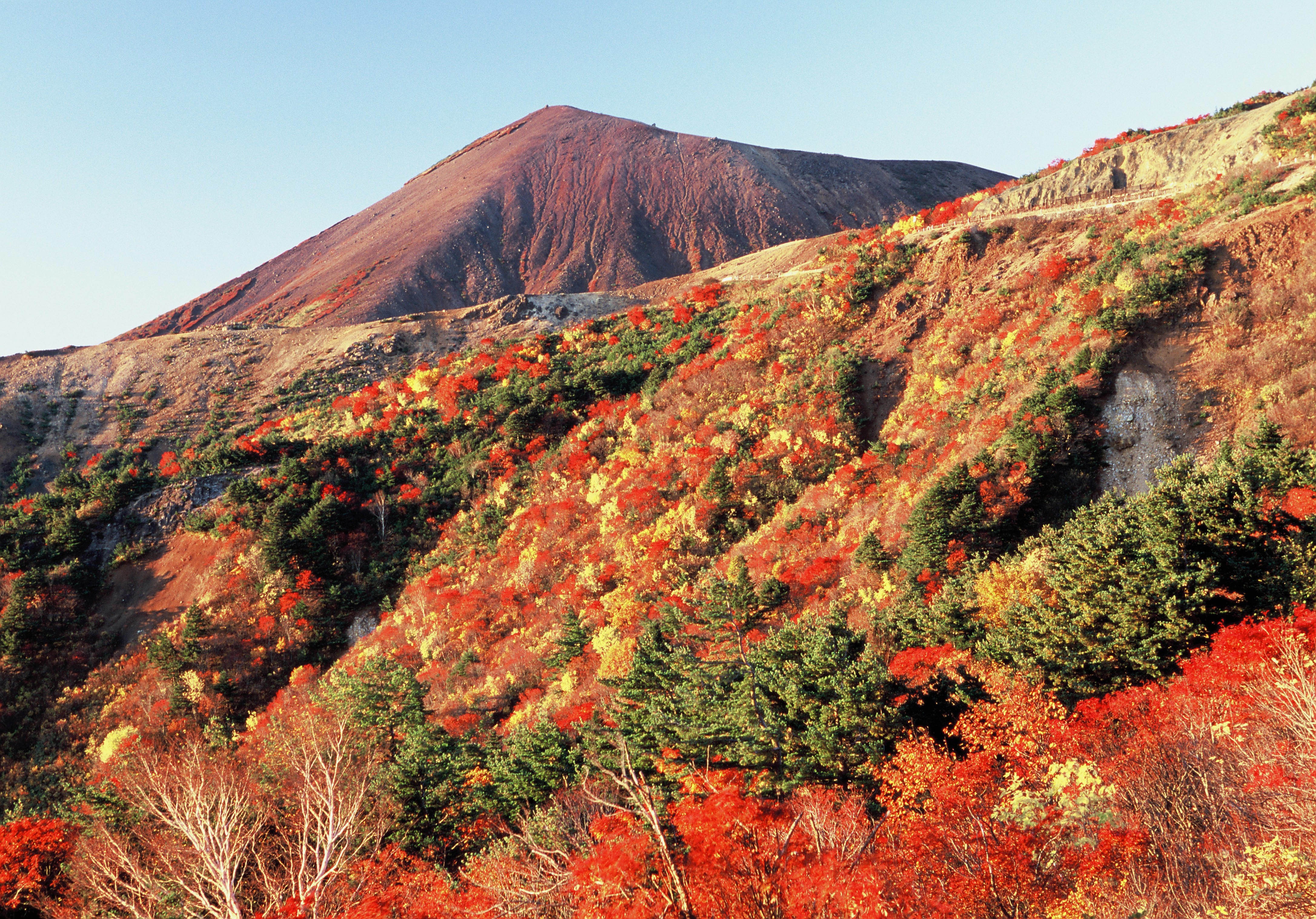 mua thu Nhat Ban anh 9
