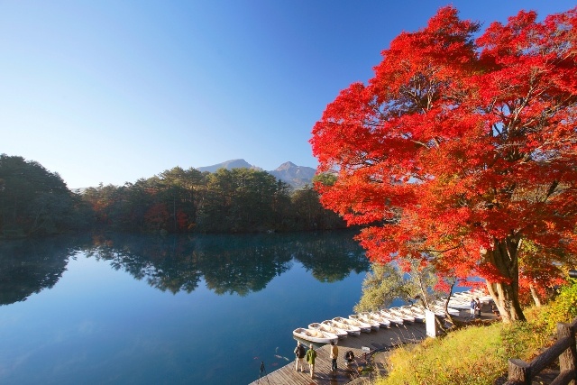 mua thu Nhat Ban anh 5