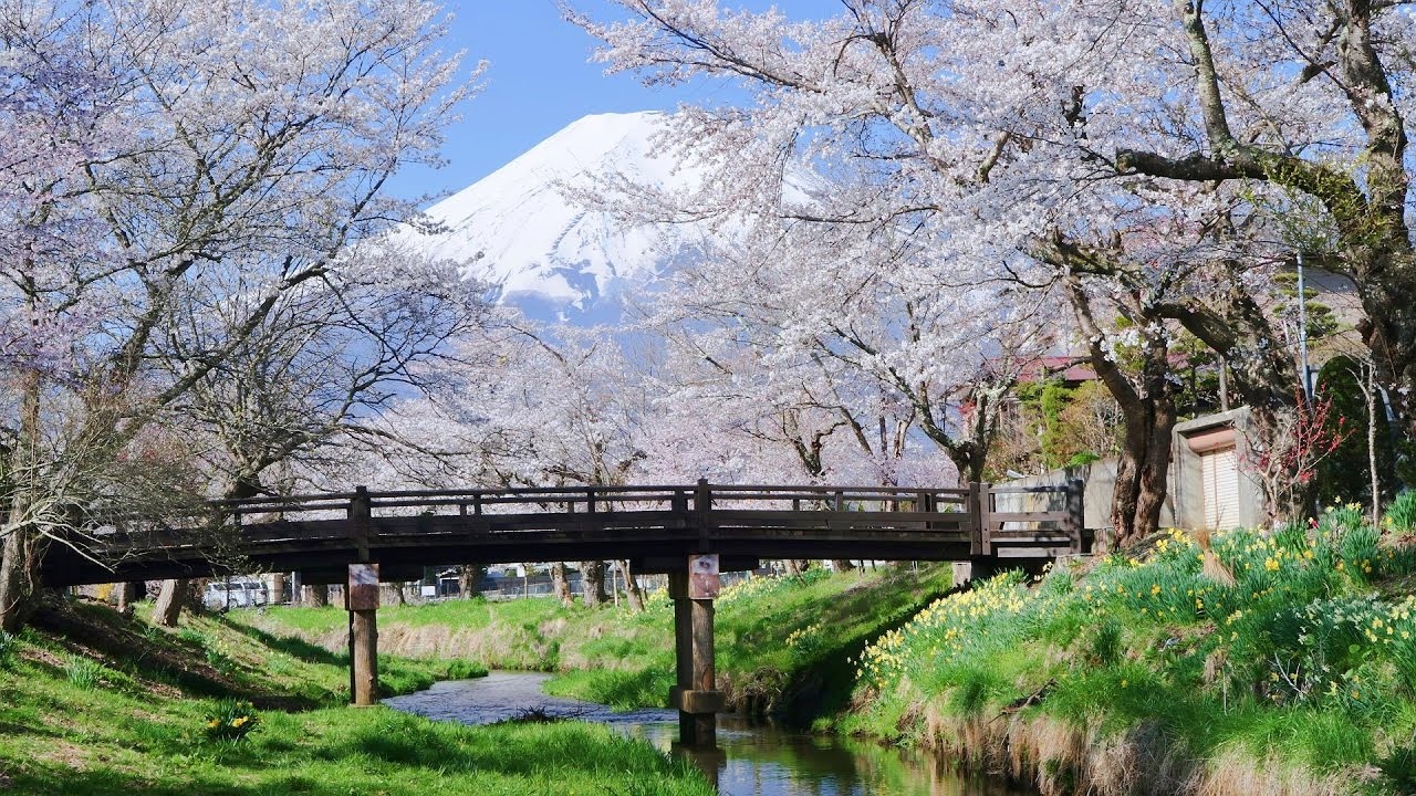 mua thu Nhat Ban anh 2