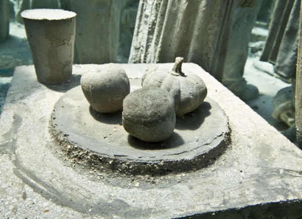 bao tang duoi nuoc anh 3