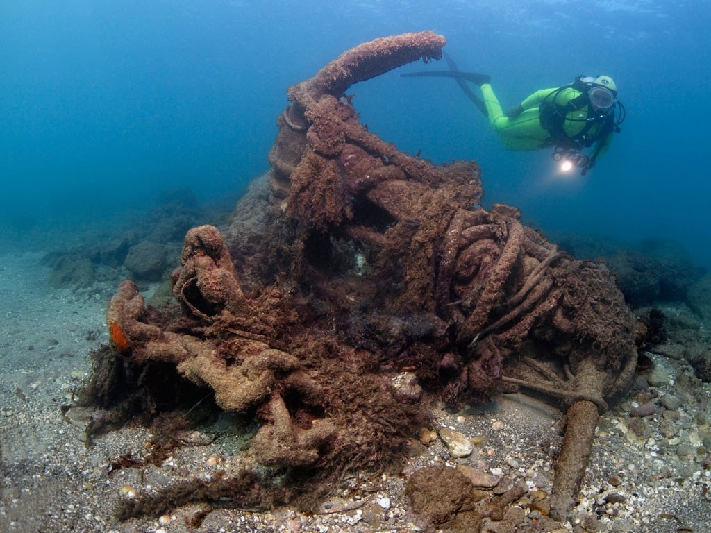 bao tang duoi nuoc anh 6