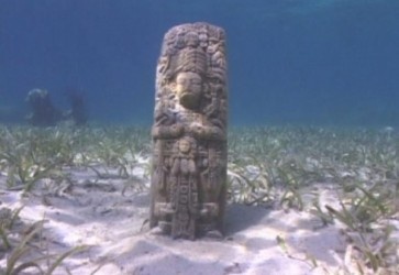 bao tang duoi nuoc anh 11