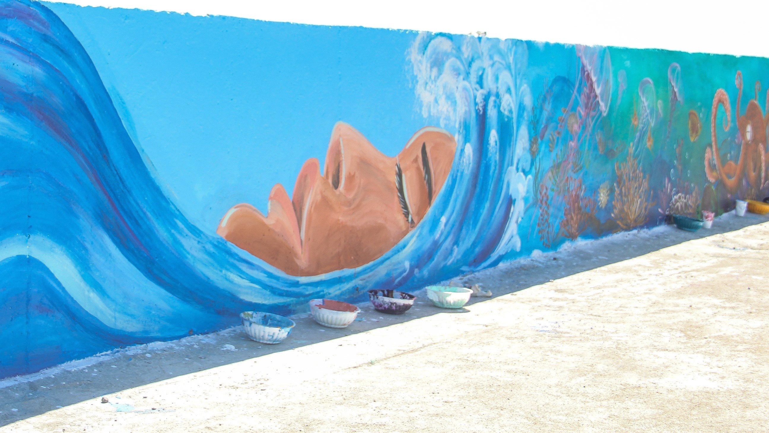 bich hoa Ly Son anh 11