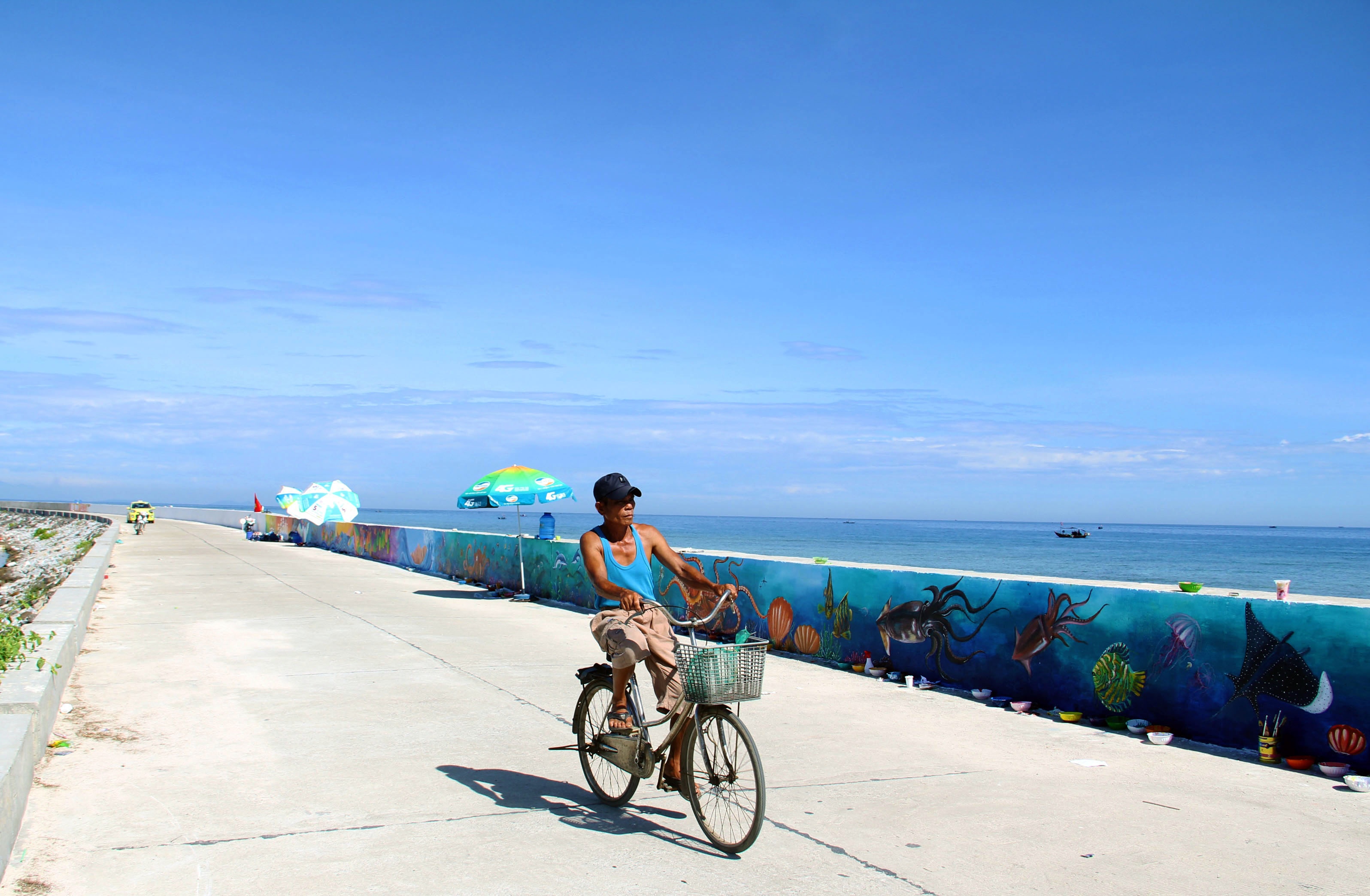 bich hoa Ly Son anh 12