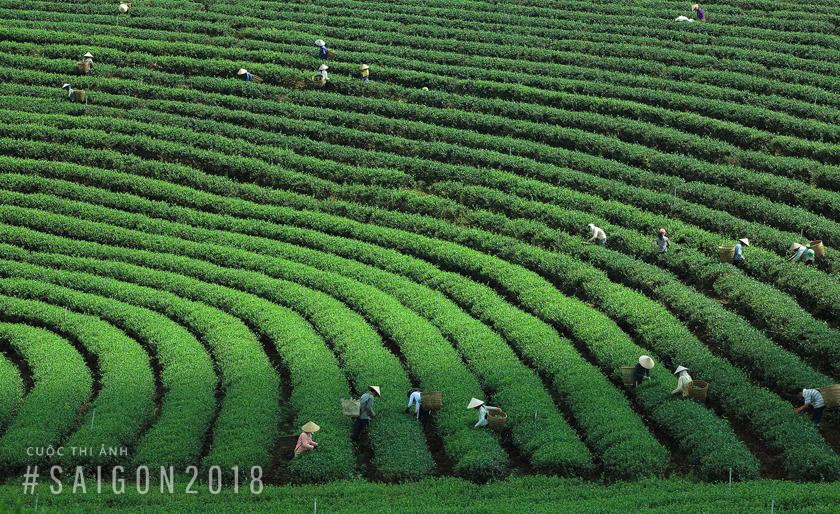 nguoi lao dong anh 8