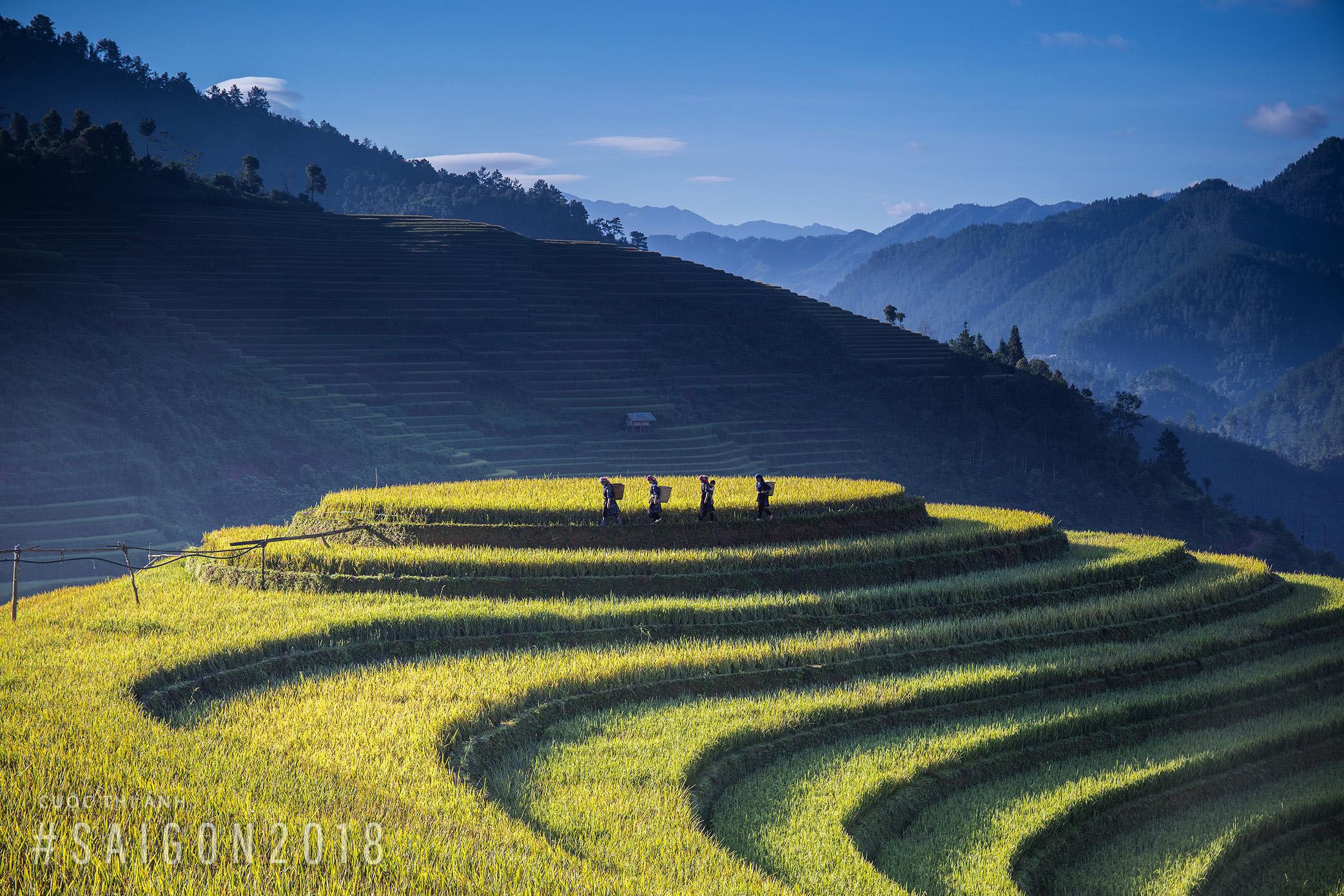nguoi lao dong anh 9