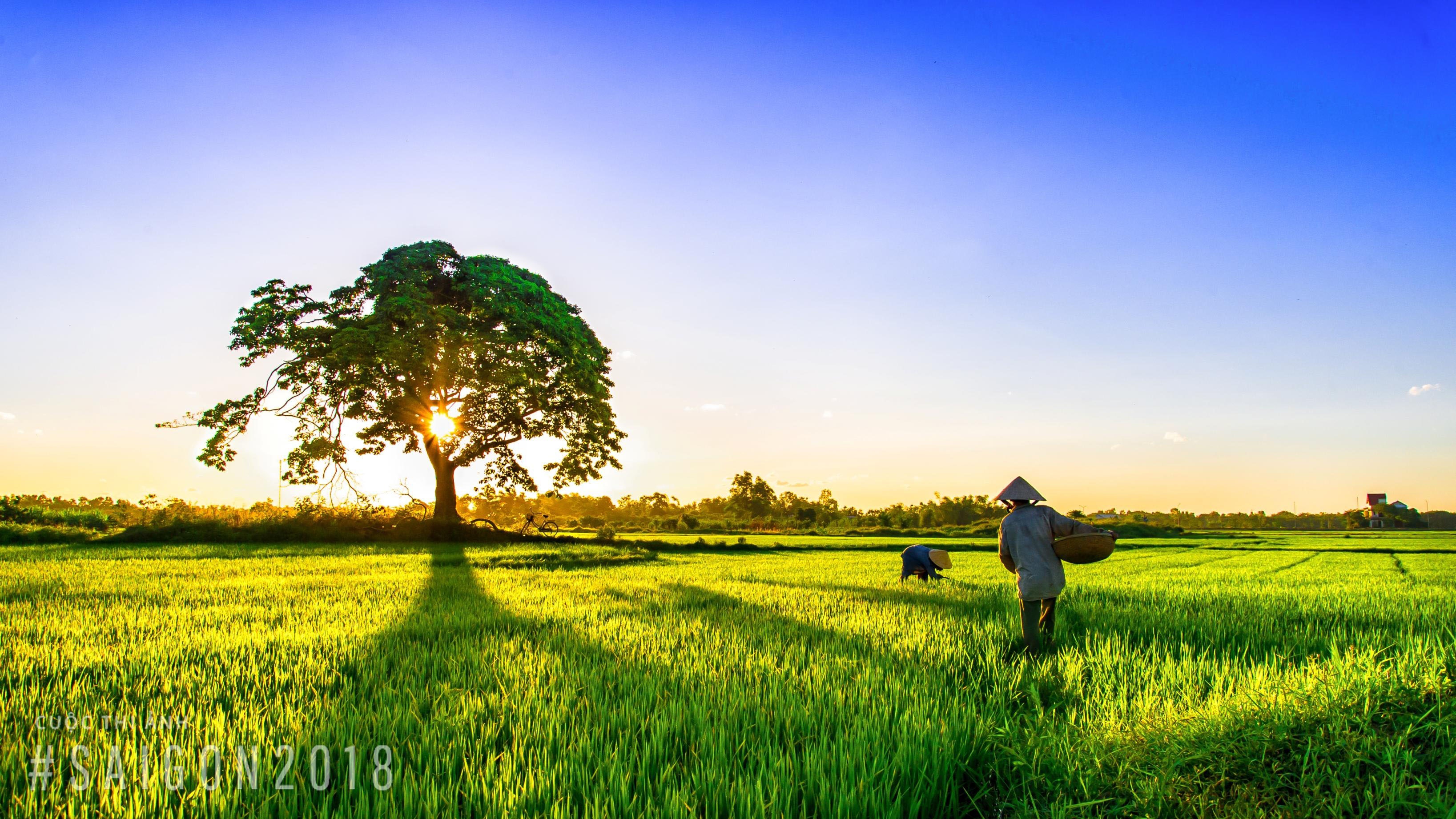 nguoi lao dong anh 2