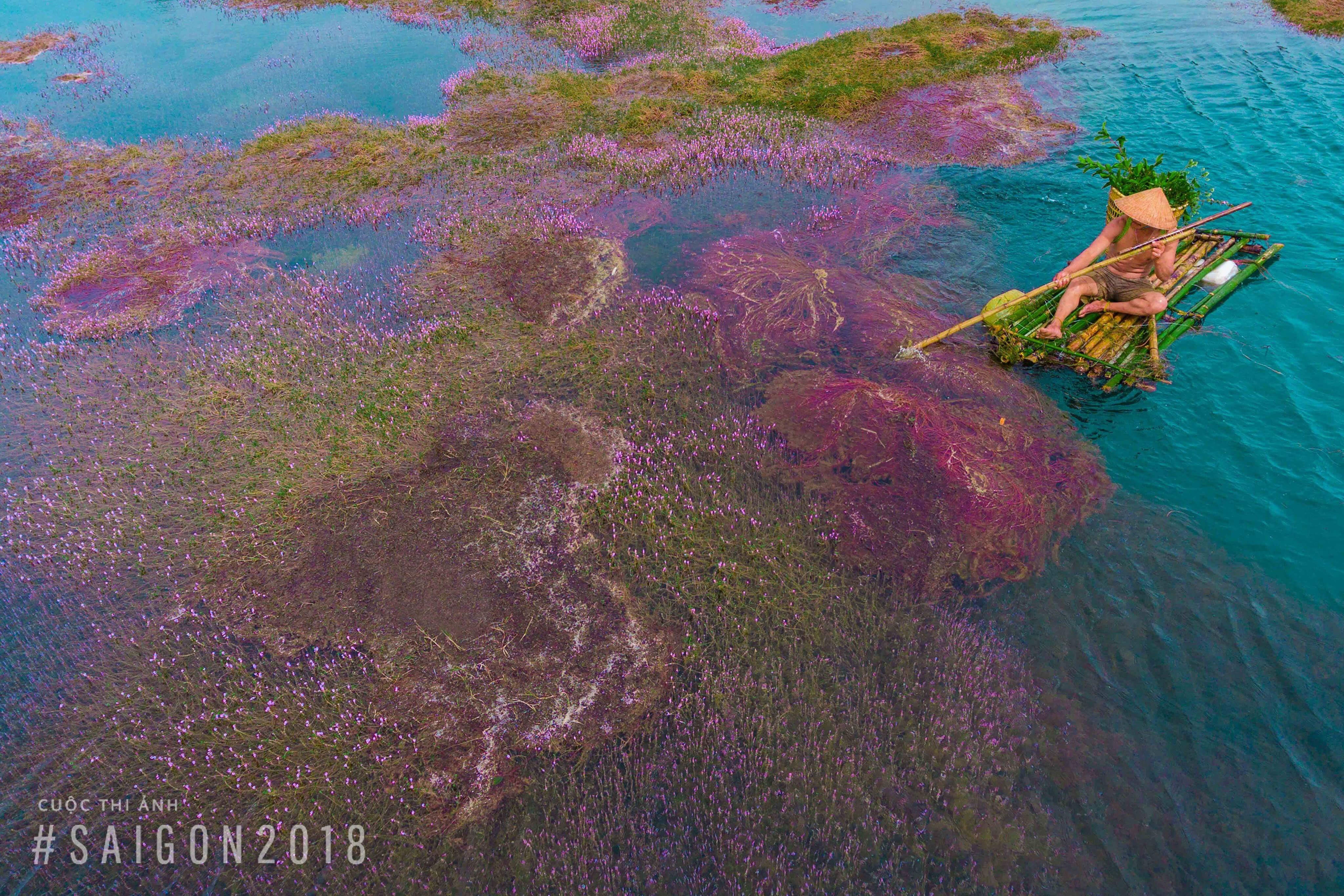 nguoi lao dong anh 1