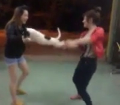 Dan mang phan no clip hai co gai hanh ha dong vat hinh anh