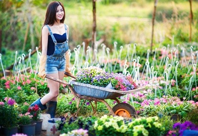 Hot girl Gia Lai hoa co gai lam vuon don Tet hinh anh