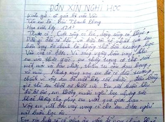 Dan mang to mo voi tam thu xin nghi hoc doc dao hinh anh