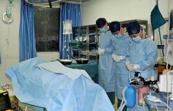 Khi biết có thể cứu mẹ, Chen đã xin được chết và nói với mẹ: 