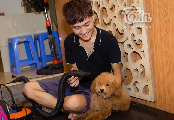 Những em cún được Linh coi như trẻ em và chăm sóc cẩn thận.