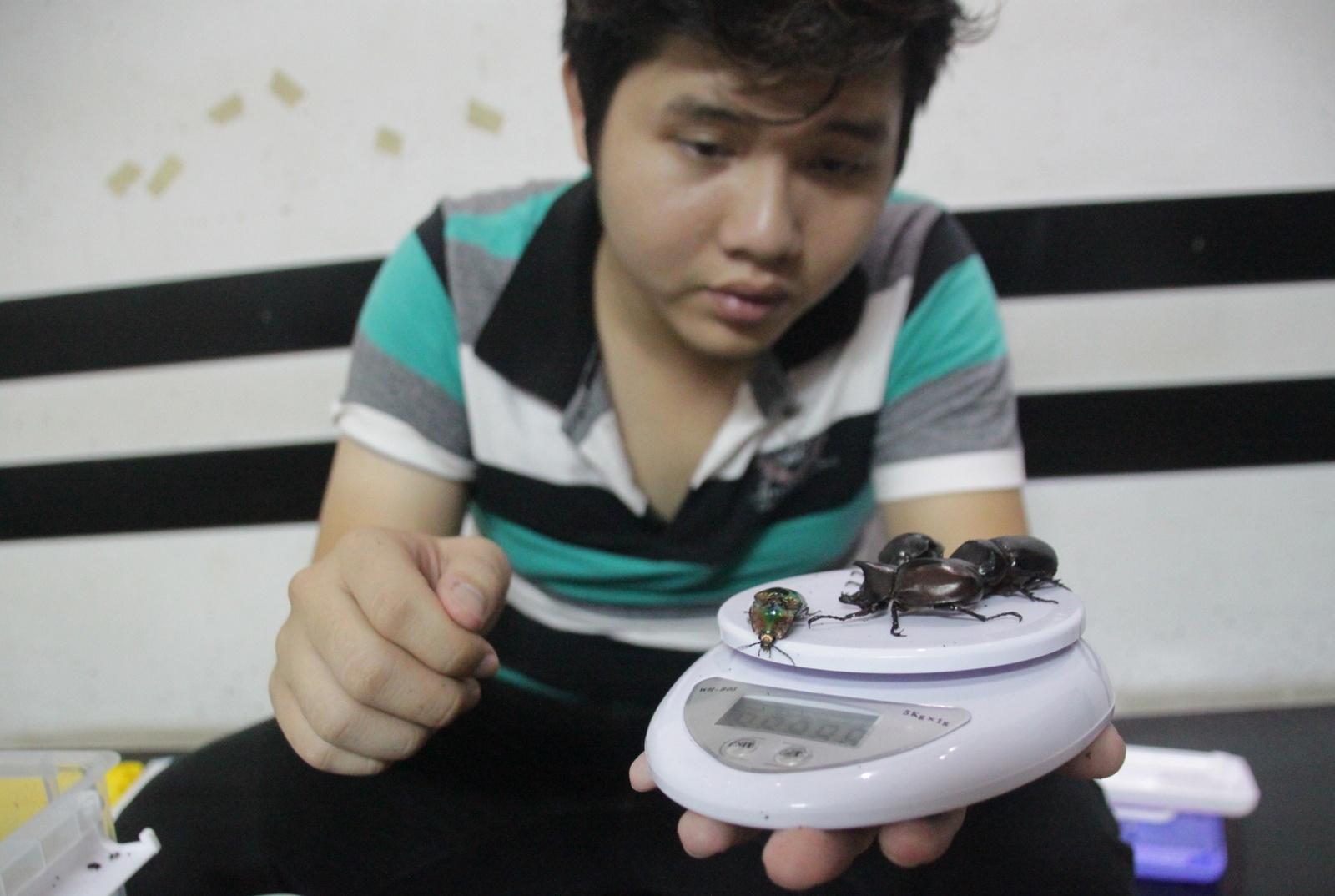 Trao luu nuoi bo canh cung cua gioi tre Sai Gon hinh anh