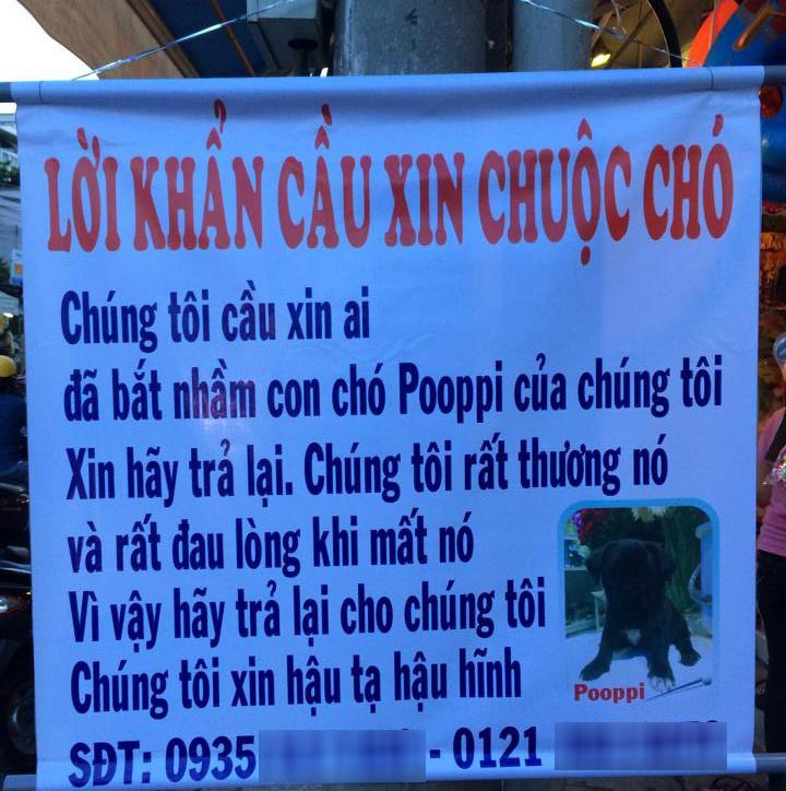 Treo bang ron xin chuoc cho bang moi gia hinh anh