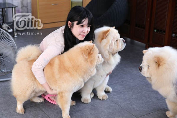 Ái My đặt tên riêng cho những chú cún, xưng hô con - má mi.