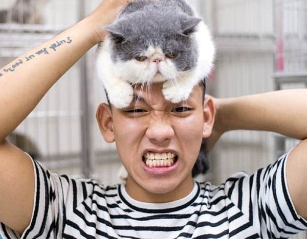 4 ban tre so huu dan cho, meo tri gia tien ty hinh anh