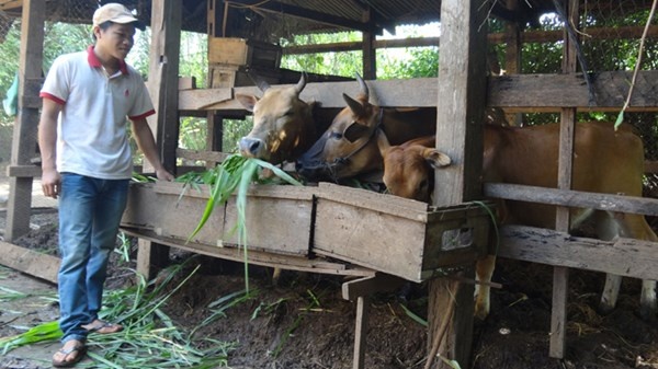 Chan quay, quyet thanh ong chu hinh anh