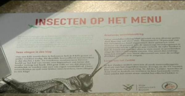 Thực đơn giới thiệu món ăn từ côn trùng.