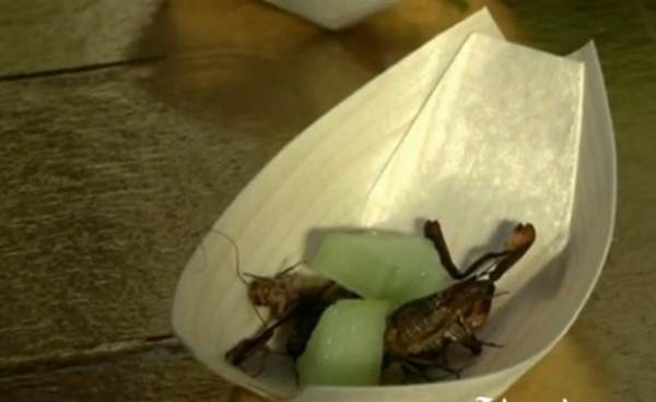 Truong DH dau tien phuc vu do an 'kinh di' cho sinh vien hinh anh