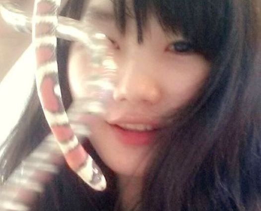 9X xinh xan nuoi hon chuc con ran, bo sat lam thu cung hinh anh