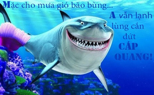 Loat anh che hai huoc ve ca map can dut cap quang hinh anh