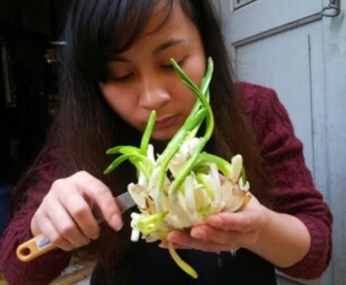 Sinh vien ron rang ban hang que dip Tet hinh anh