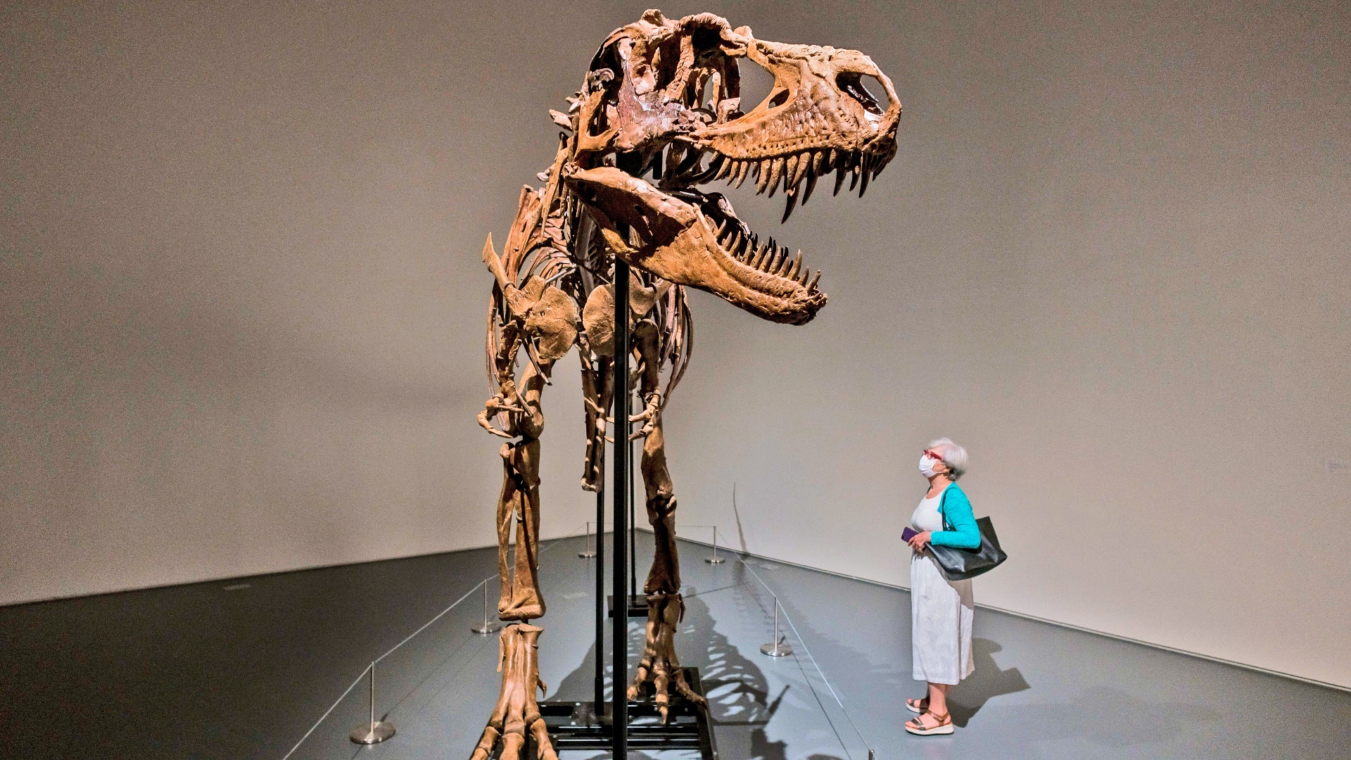 Hoa thach khung long gia hon 6 trieu USD hinh anh