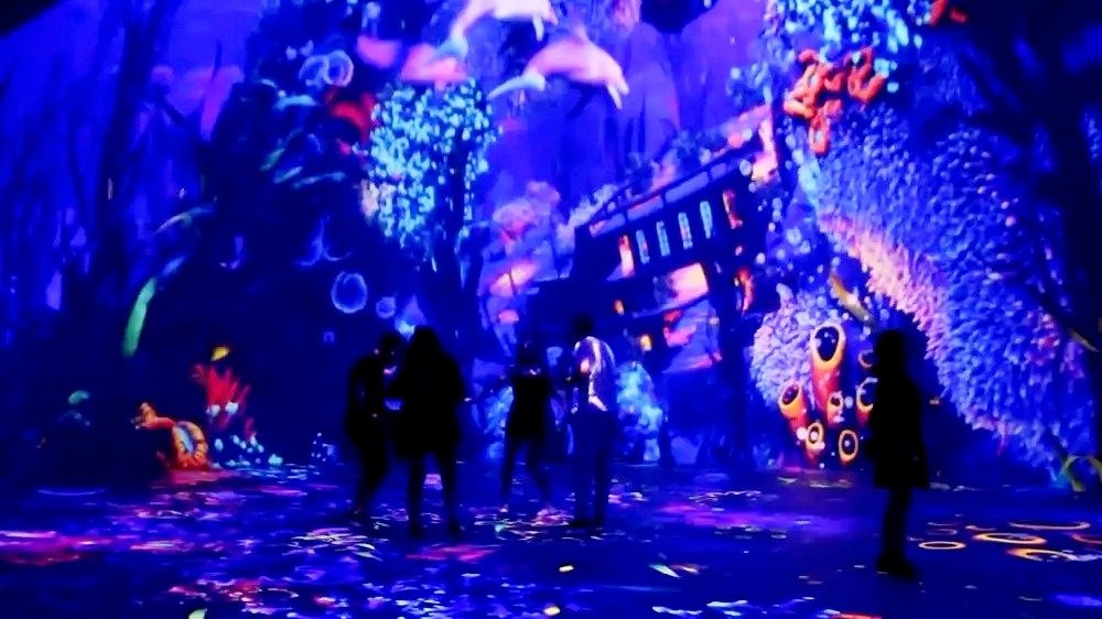 Trung tam vu tru ao 3D o Tho Nhi Ky hinh anh