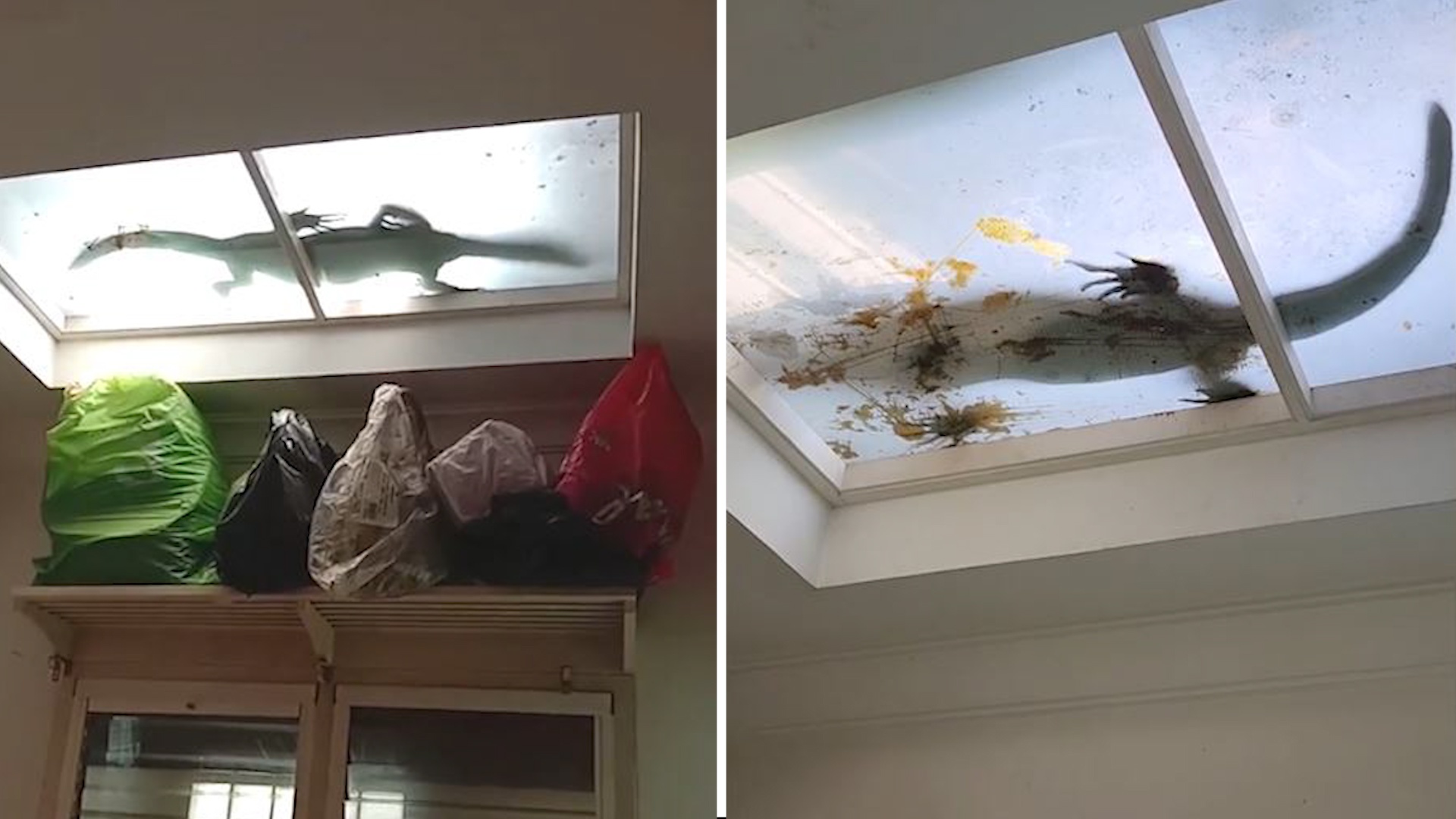 Ky da leo len mai nha cua nguoi dan o Thai Lan hinh anh