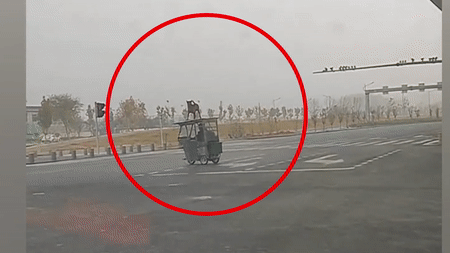 Chu cho biet giu thang bang dung tren noc xe hinh anh