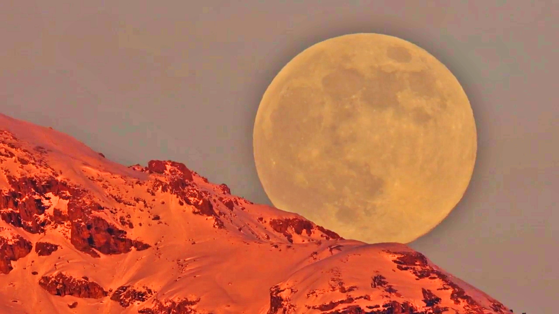 Khoanh khac Trang soi moc tren day nui Alps hinh anh