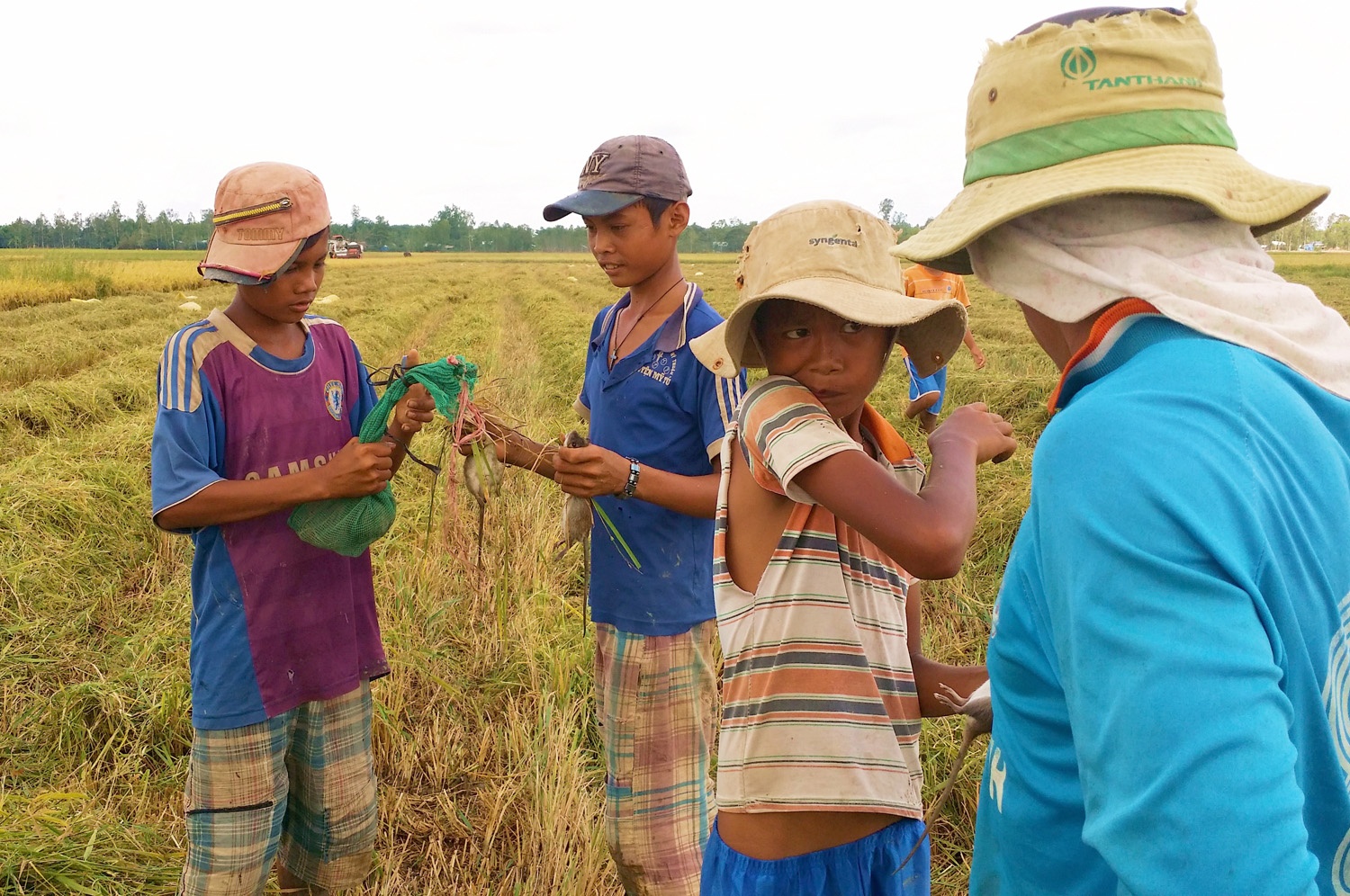 Tre mien Tay thi tho ruot bat chuot dong hinh anh