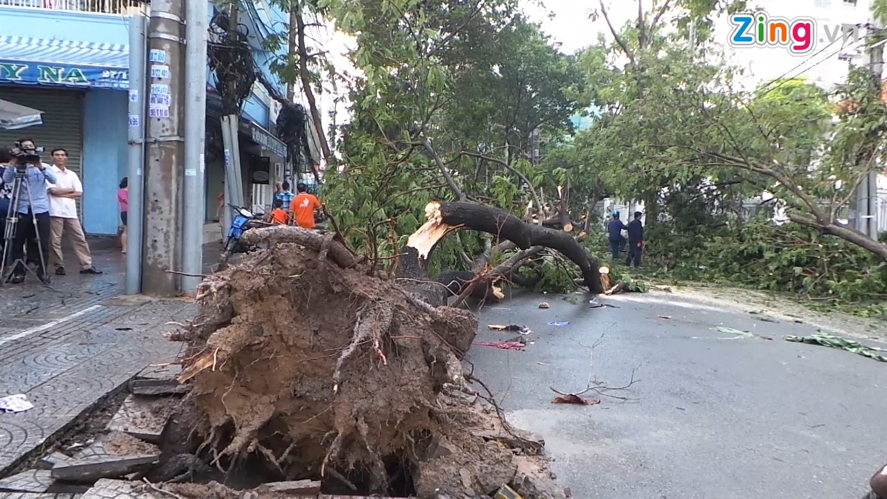Cay do hang loat, mot nguoi bi de trung tu vong tai Sai Gon hinh anh