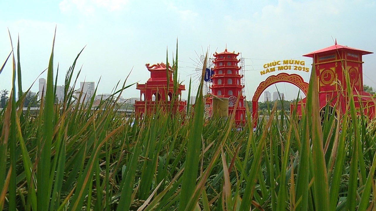 Trang tri pho nha giau o Sai Gon don Tet hinh anh