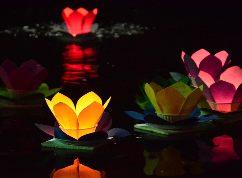 Hang nghin ngon hoa dang lung linh tren song Sai Gon hinh anh