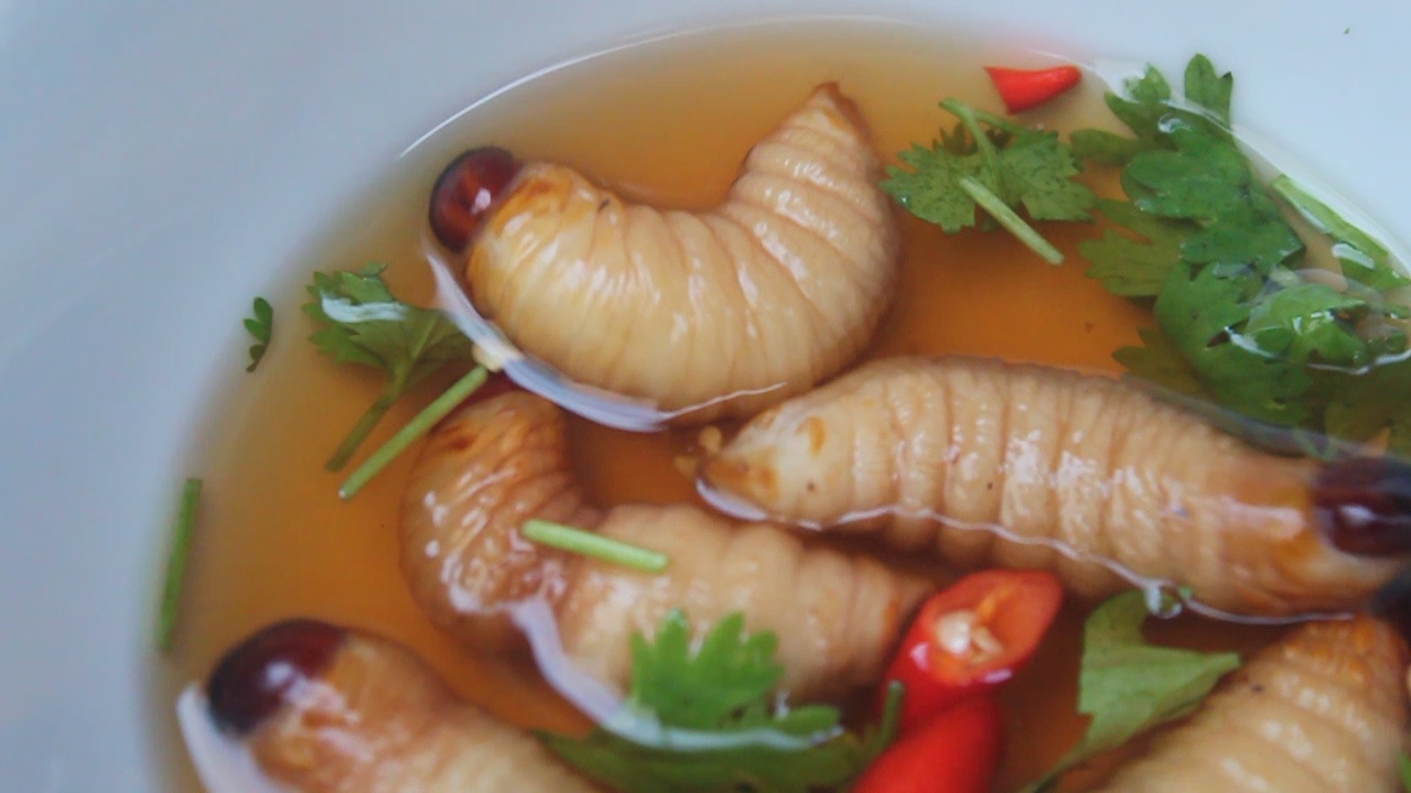 Thuong thuc duong dua ngoe nguay tren dua hinh anh