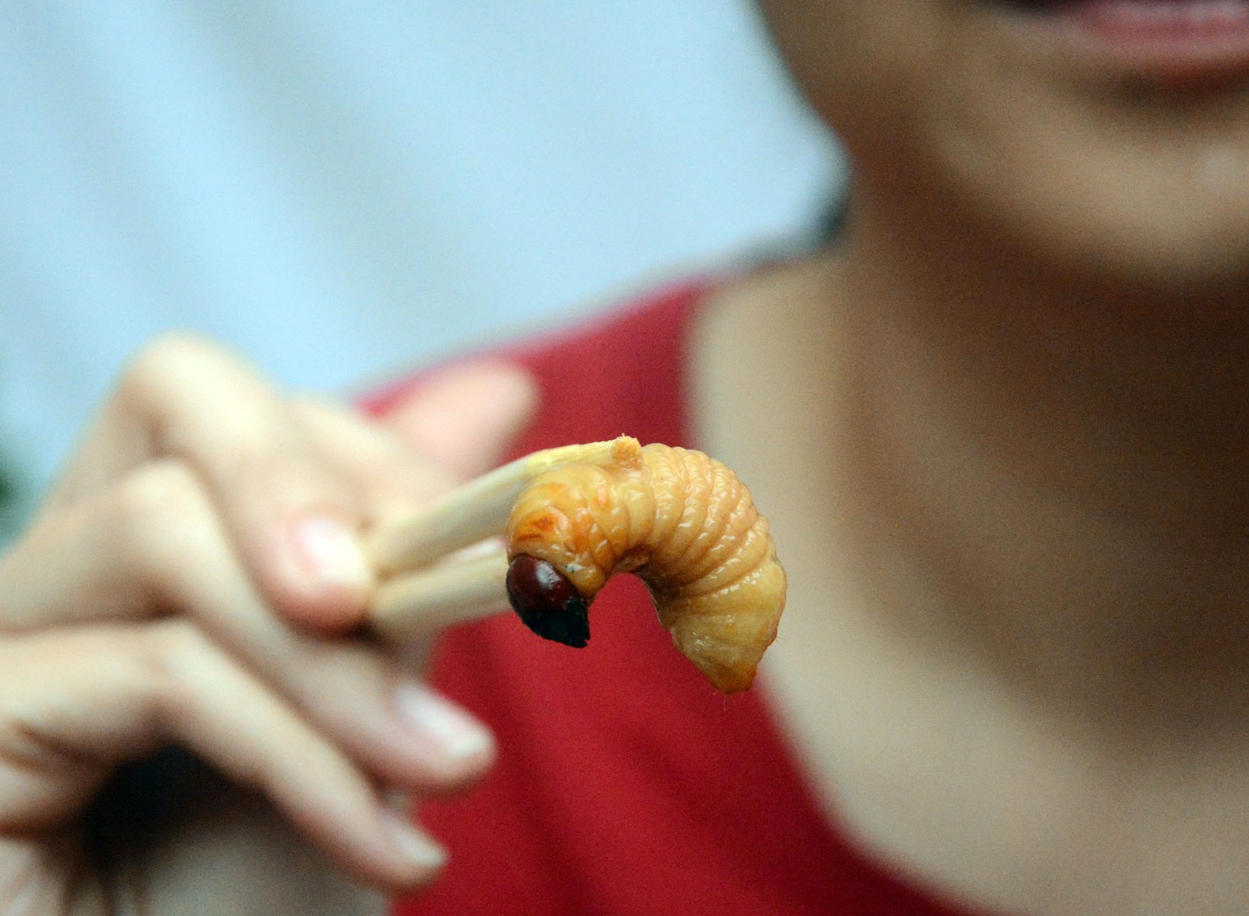 Nhan mat an bo cap, duong dua ngoe nguay hinh anh