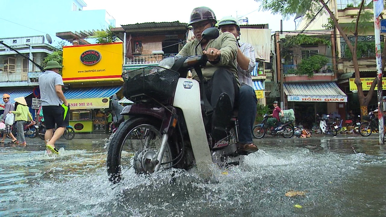 Diem ngap moi xuat hien o Sai Gon sau mua lon hinh anh