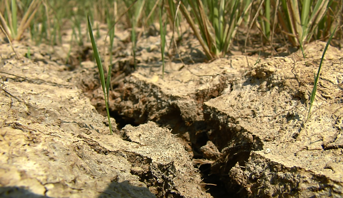 Mien Tay bi han han, man xam nhap nang nhat trong 100 nam hinh anh